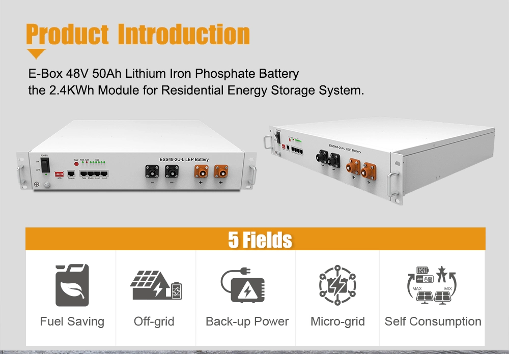 Pytes-4850 Bess Lithium LFP Battery with BMS for Solar Storage System and Hybrid Grid Use