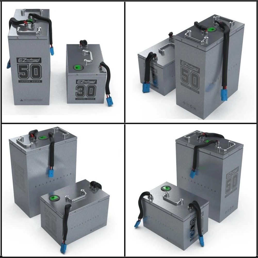 Portable Exandable LiFePO4 Lithium-Ion/Li-ion/Lithium Battery Module with BMS for EVs