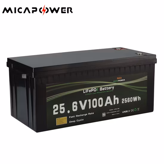 Recién llegado, 100ah, 150ah, 200ah, fosfato de hierro y litio (LiFePO4), almacenamiento de batería S RV, paquete de batería especial de fosfato de hierro y litio