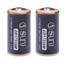 Oferta especial 1700mAh 3.6V Batería de iones de litio para juguetes Electrodomésticos Er17335m